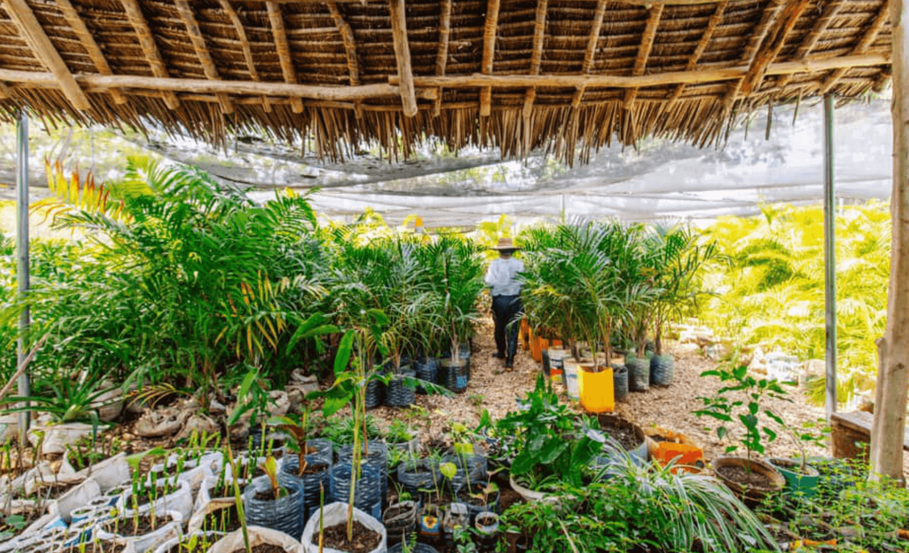  Eco Village
